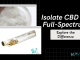 Difference Between Isolate Cbd Full Spectrum Budora