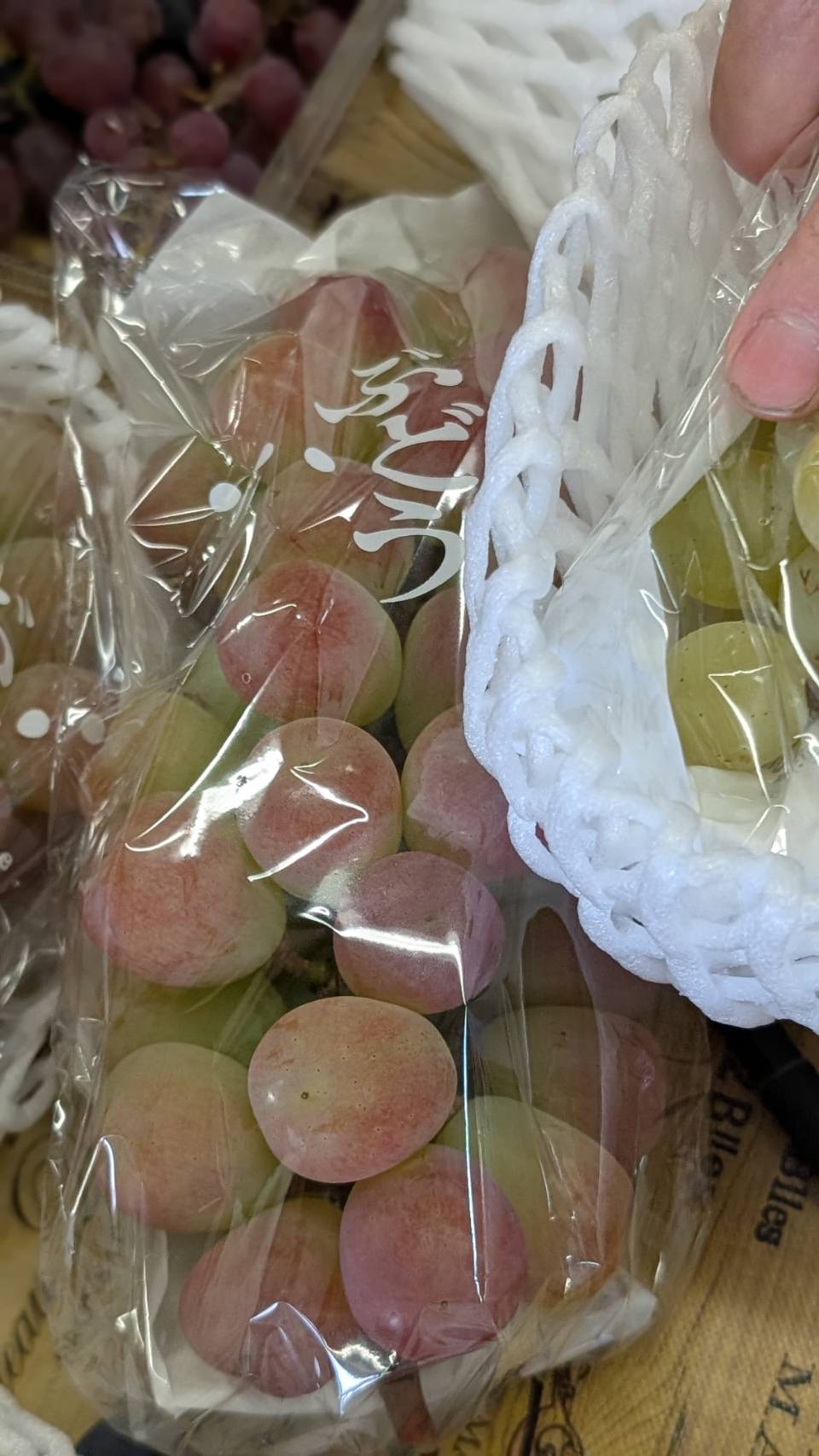 ほほえみ】ぶどうの特徴と魅力を徹底解説｜皮ごと食べられる人気の品種