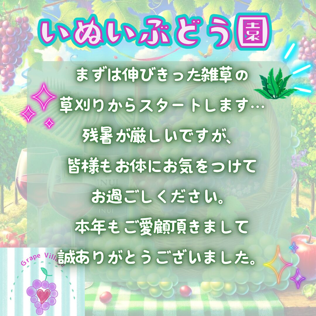 オーダー作成終了のお知らせ 2024年度の直売所営業終了のお知らせ | 大阪ぶどう直売所 いぬいぶどう園
