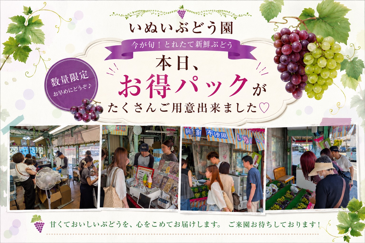 大粒ぶどう＆限定のお得パックがたくさん並んでいます