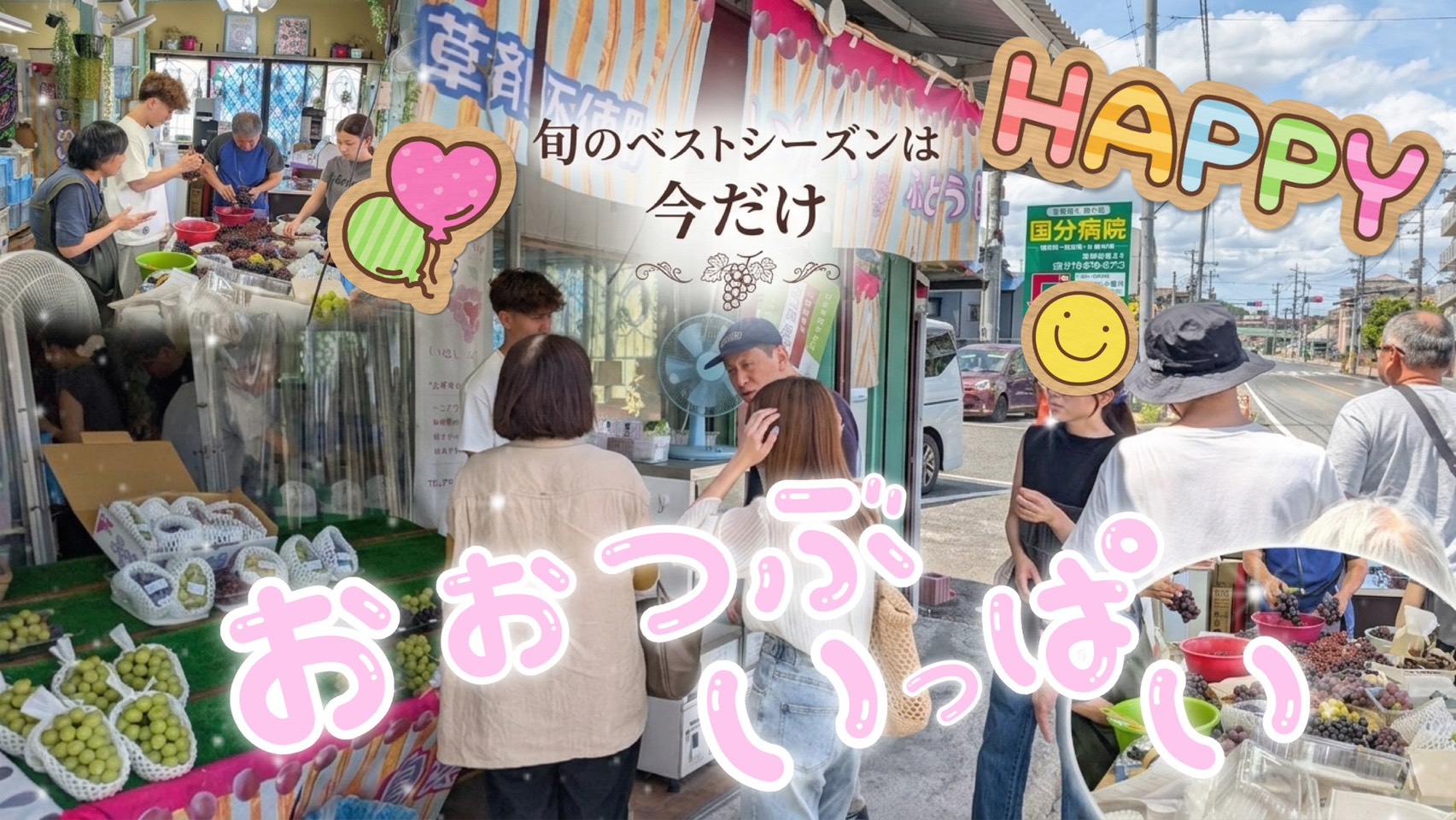 【シーズン到来】大つぶブドウが続々と登場しています