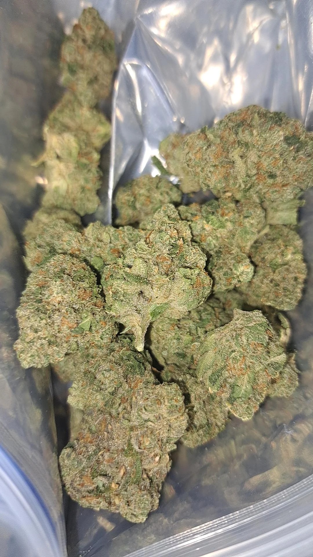 Nugget of Liquid Imagination weed in packaging