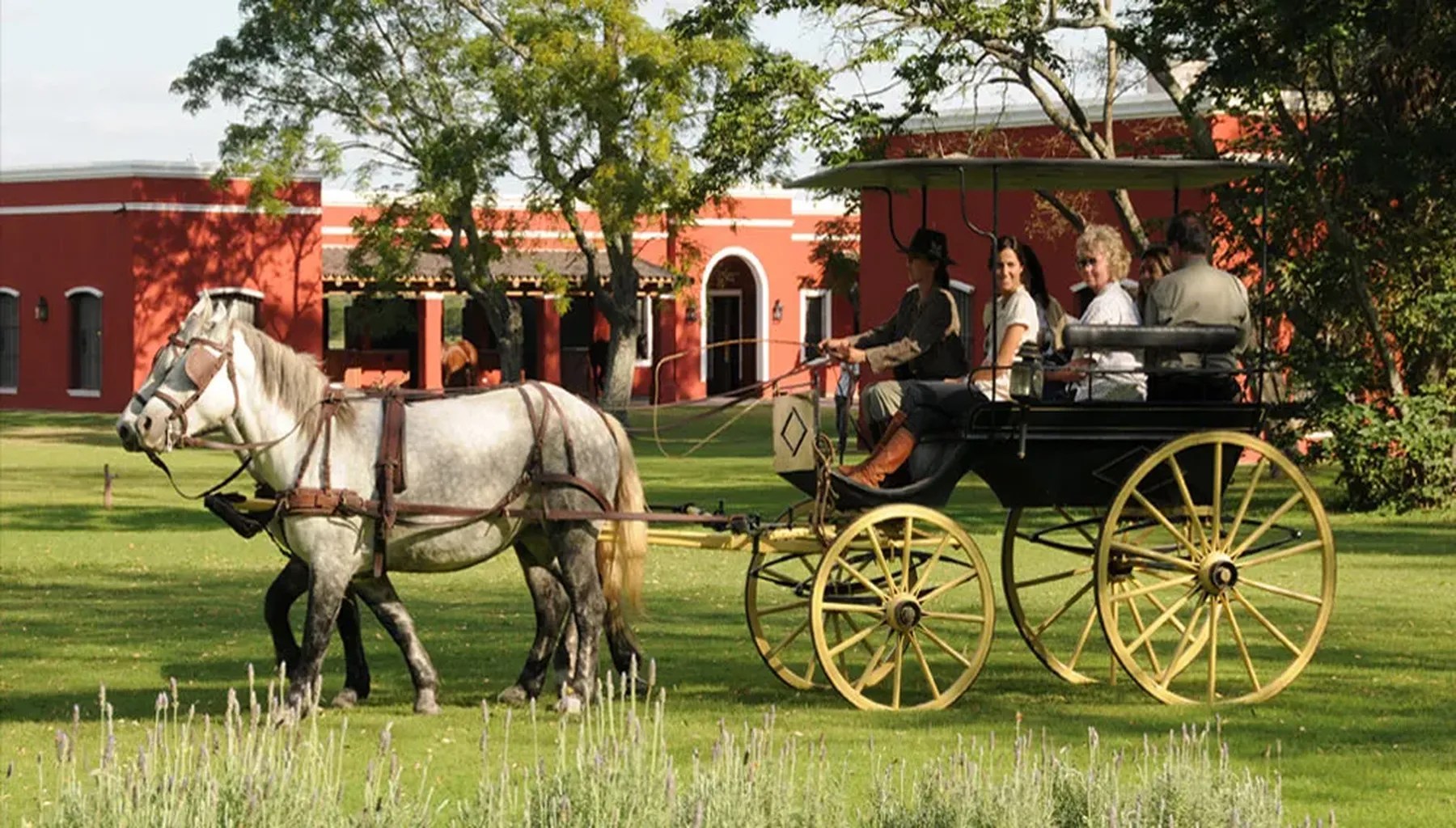 El-Ombu-De-Areco
