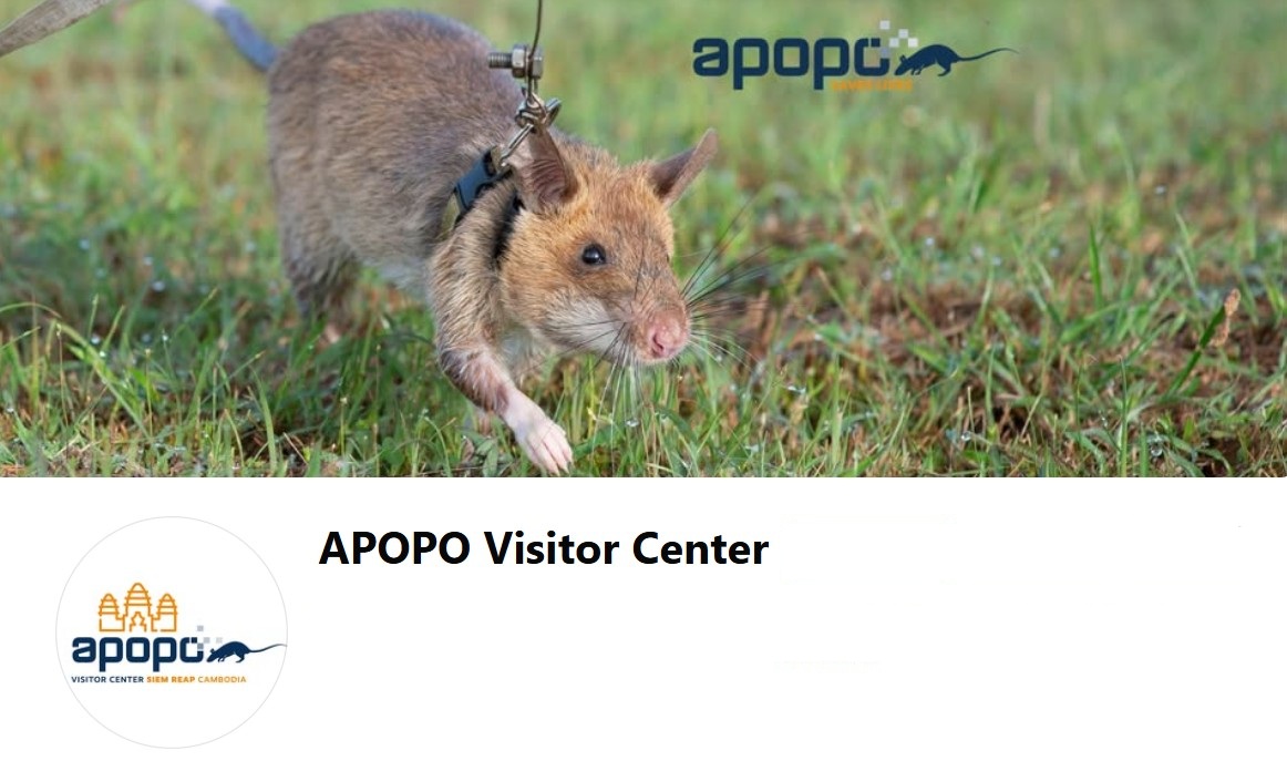 APOPO’s Landmine Rats, Siem Reap, Cambodia