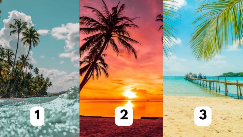 Teste da praia escolha uma praia teste de personalidade