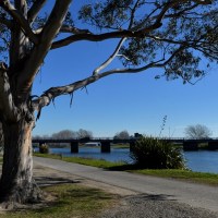 Evers Swindell Reserve Clive