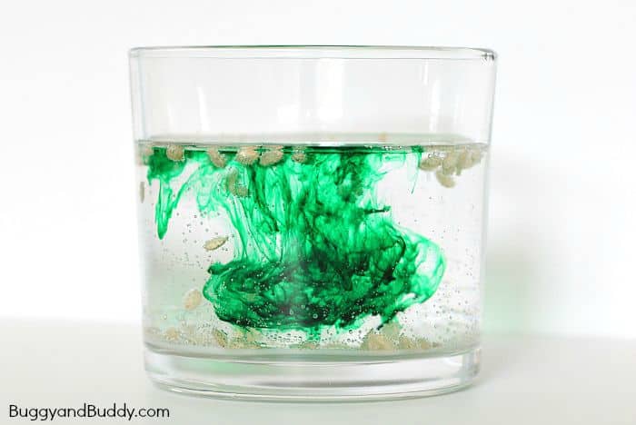 Adding vinegar to baking soda gives you an immediate reaction. Baking Soda And Vinegar Science Dancing Rice Buggy And Buddy