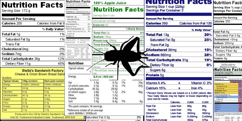 Collaboration is Key For Future of Edible Insect Regulations