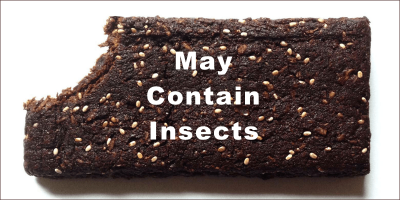 The Future of Sports Nutrition May Contain Insects