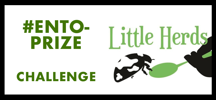 Bug News – Little Herds Announces Pitch Challenge Ento-Prize