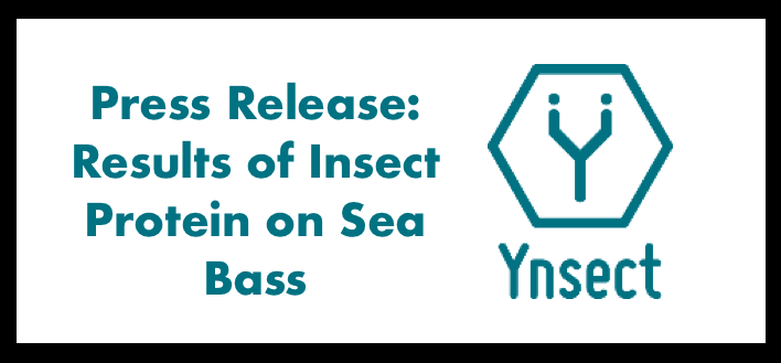 Aquaculture: Ÿnsect unveils the results of its insect protein ŸnMeal™ on sea bass