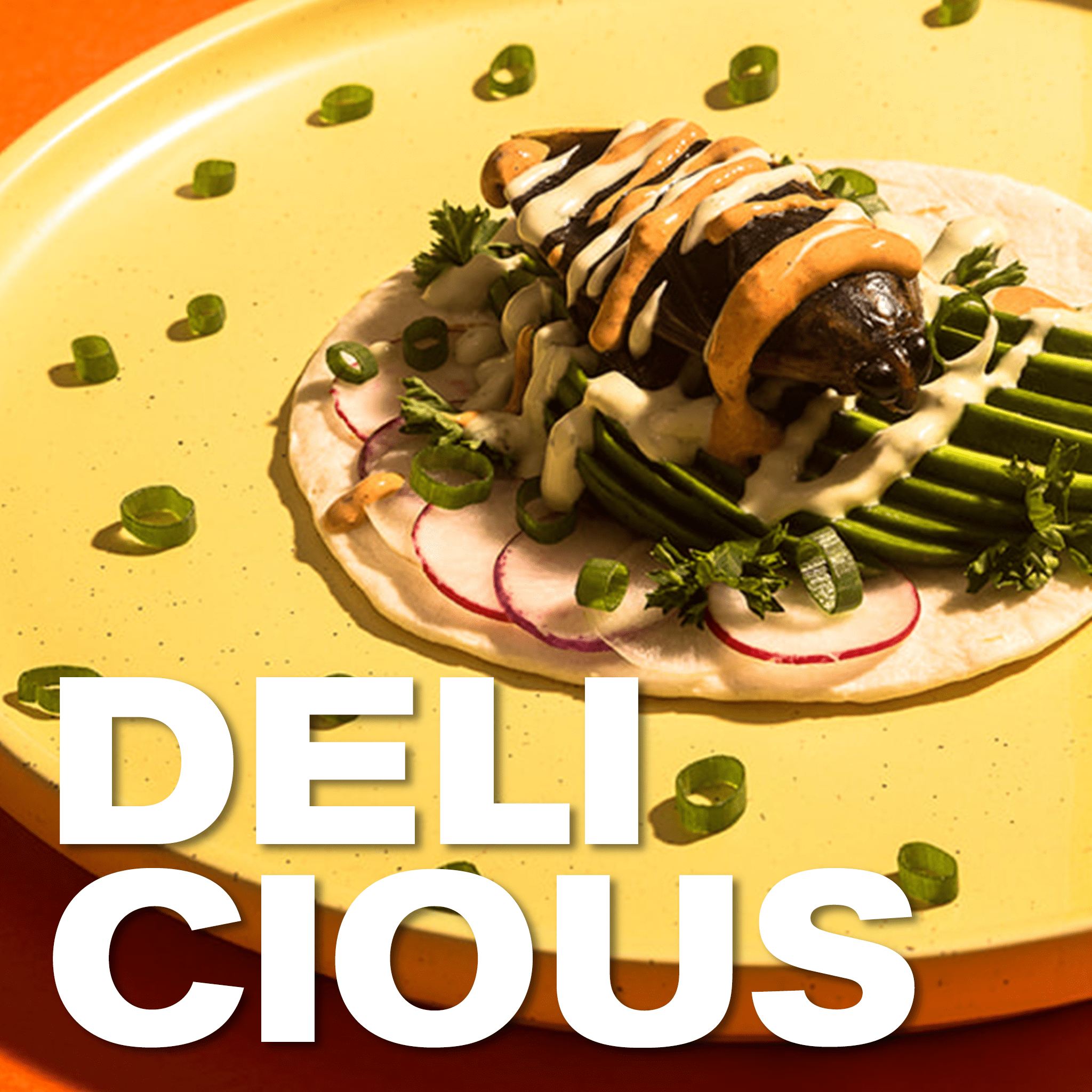 Your Guide to Eating Bugs