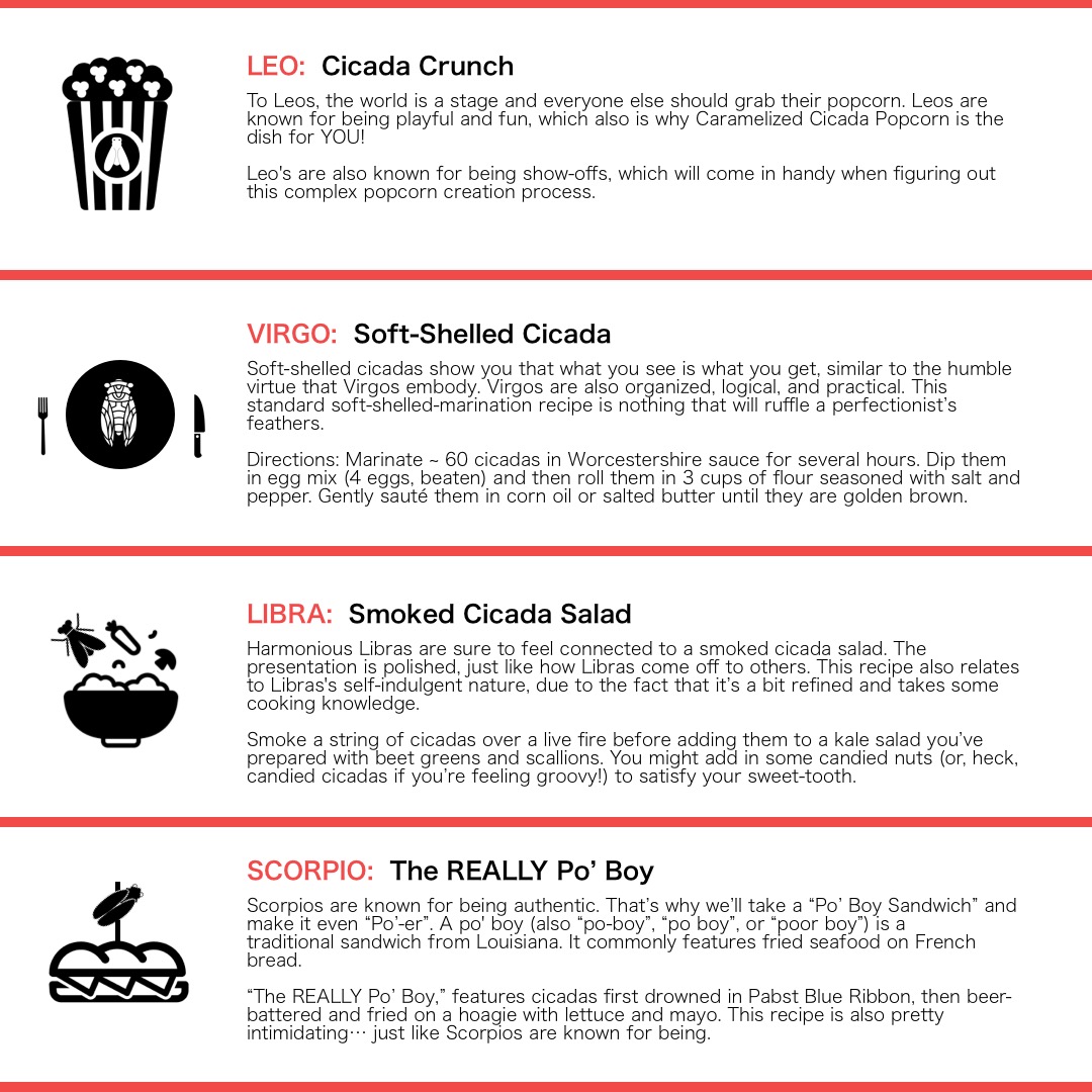 Cicada Zodiac 2