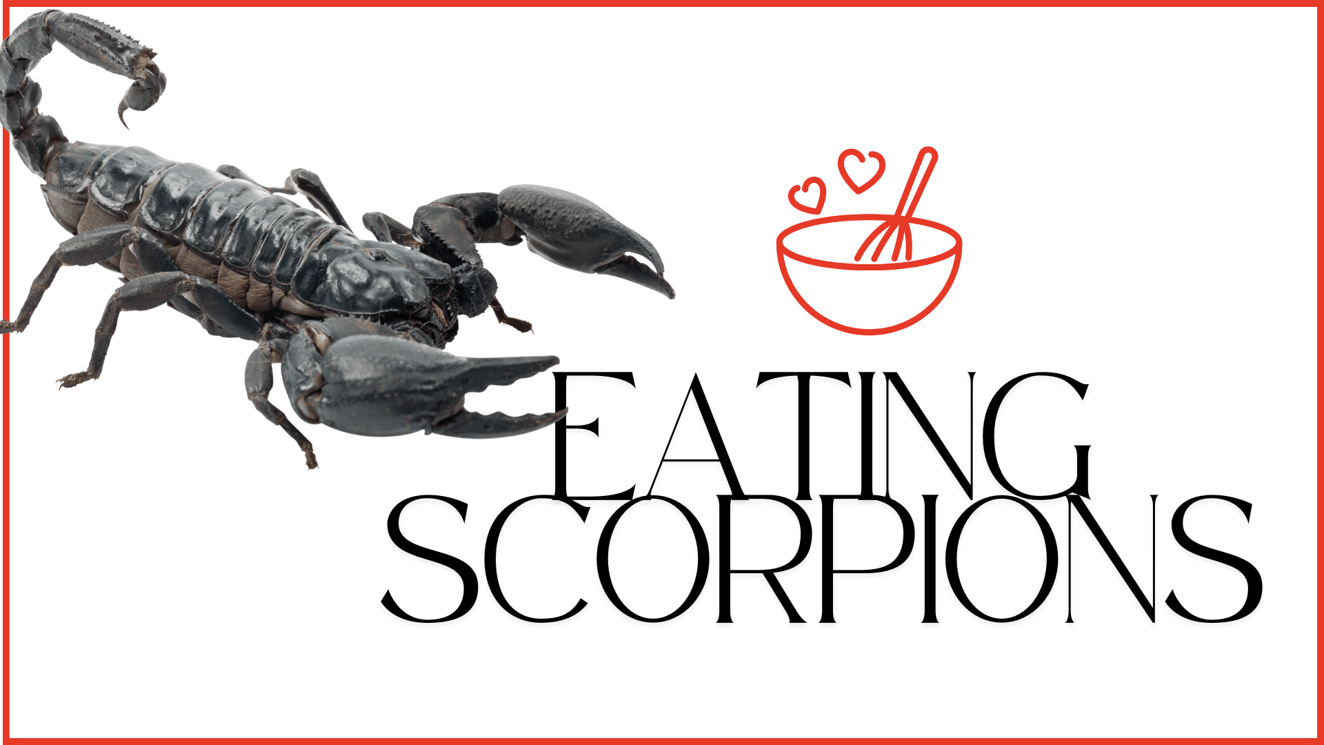 Finding, Cooking, and Eating Scorpions – How to Eat Scorpions