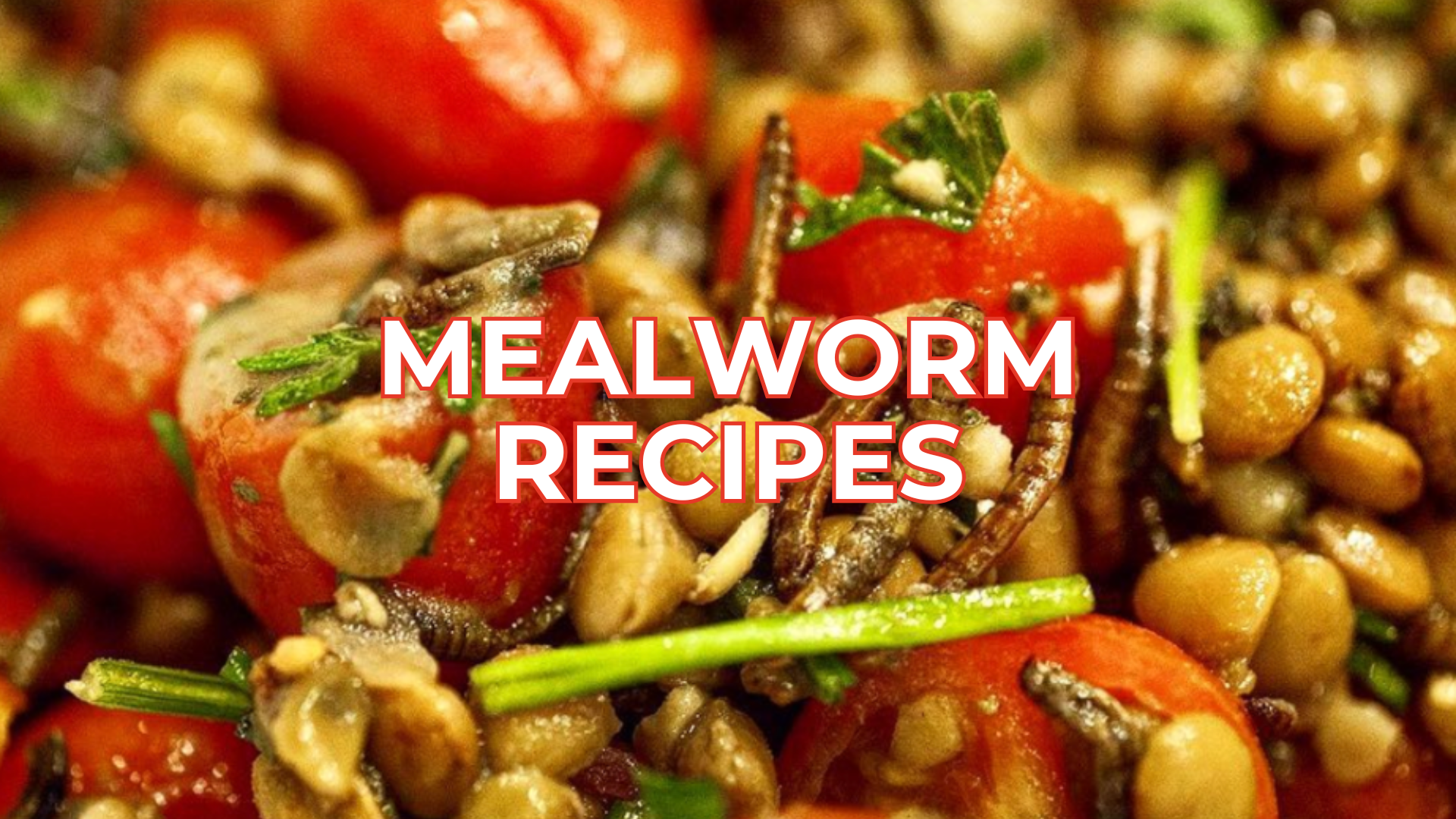 Mealworm Recipes