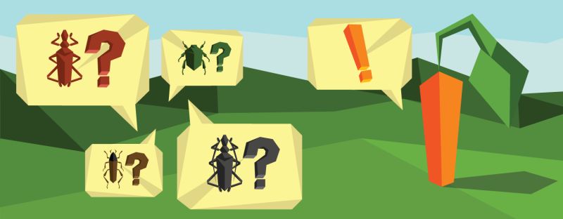 Bugsjs A Benchmark Of Javascript Bugs - 8K Sunset Images for Desktop