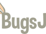 Bugsjs A Benchmark Of Javascript Bugs