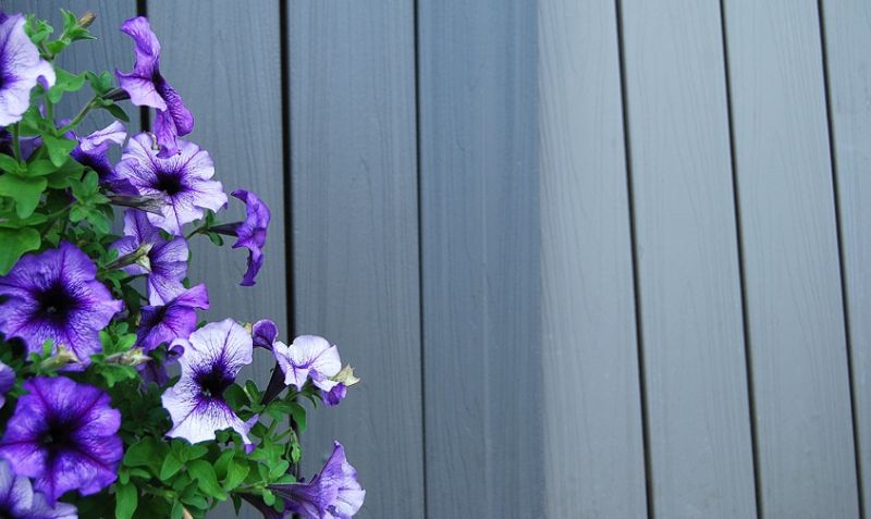 Compdeck4 Builders Surplus - Classic Vintage Image - High Resolution