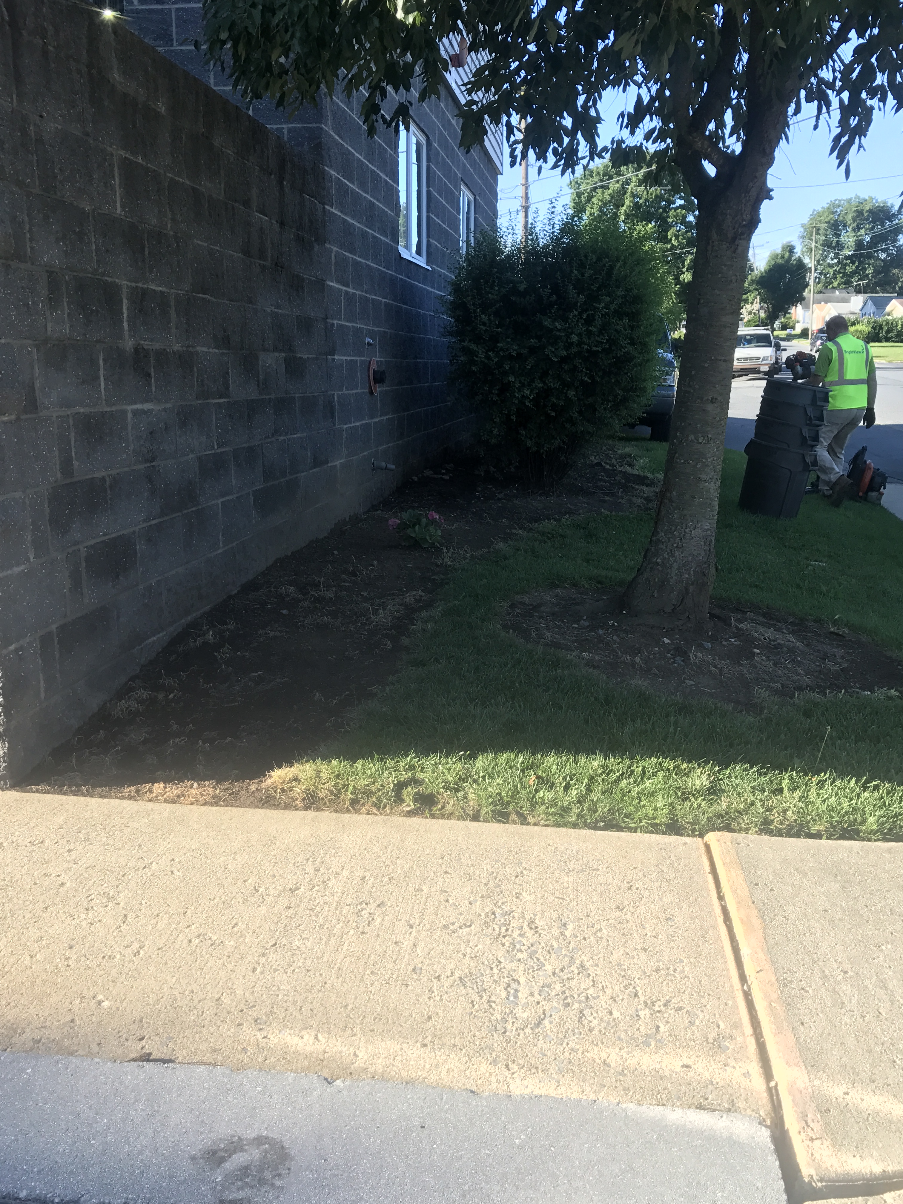 Pre-Work Front Garden