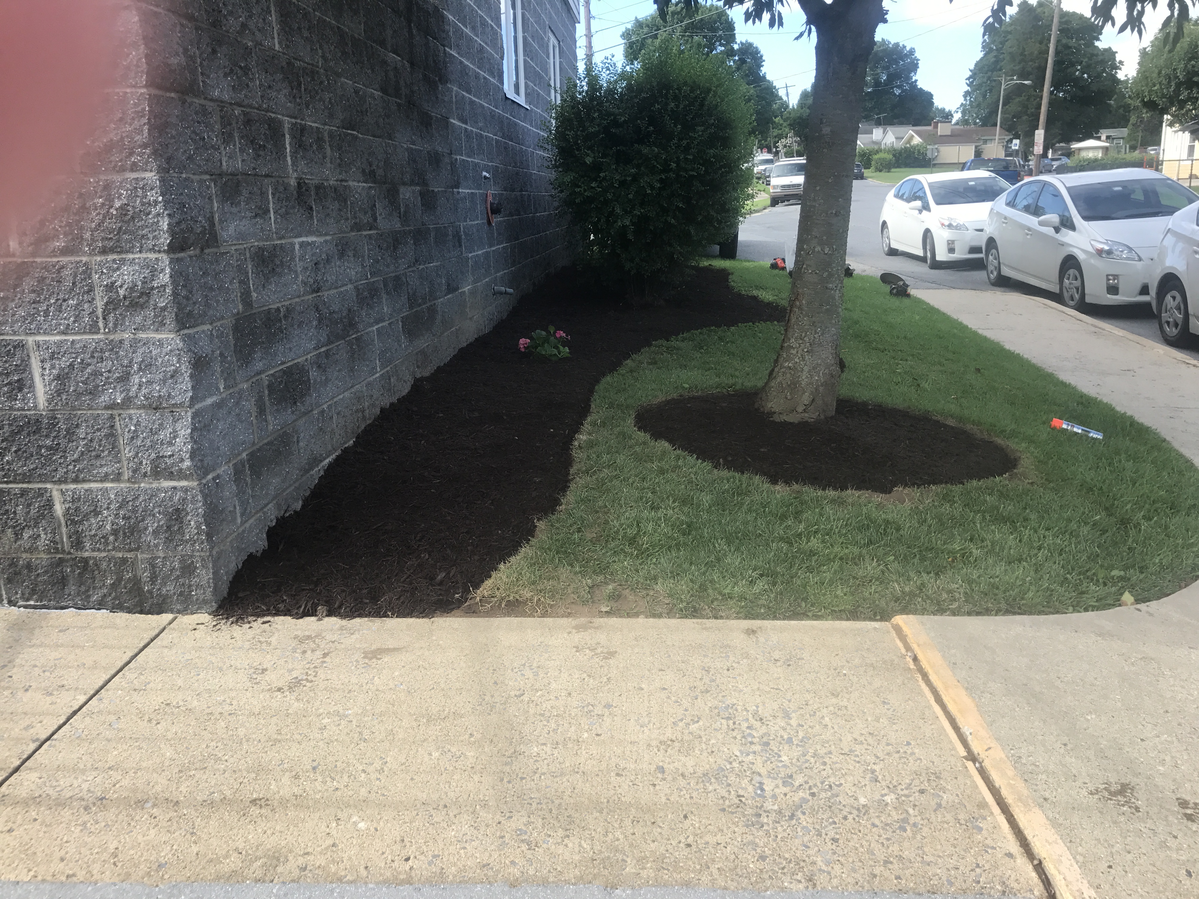Front Garden Complete