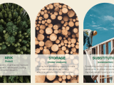 The 3s Framework Benefits Of Forests And Forest Products