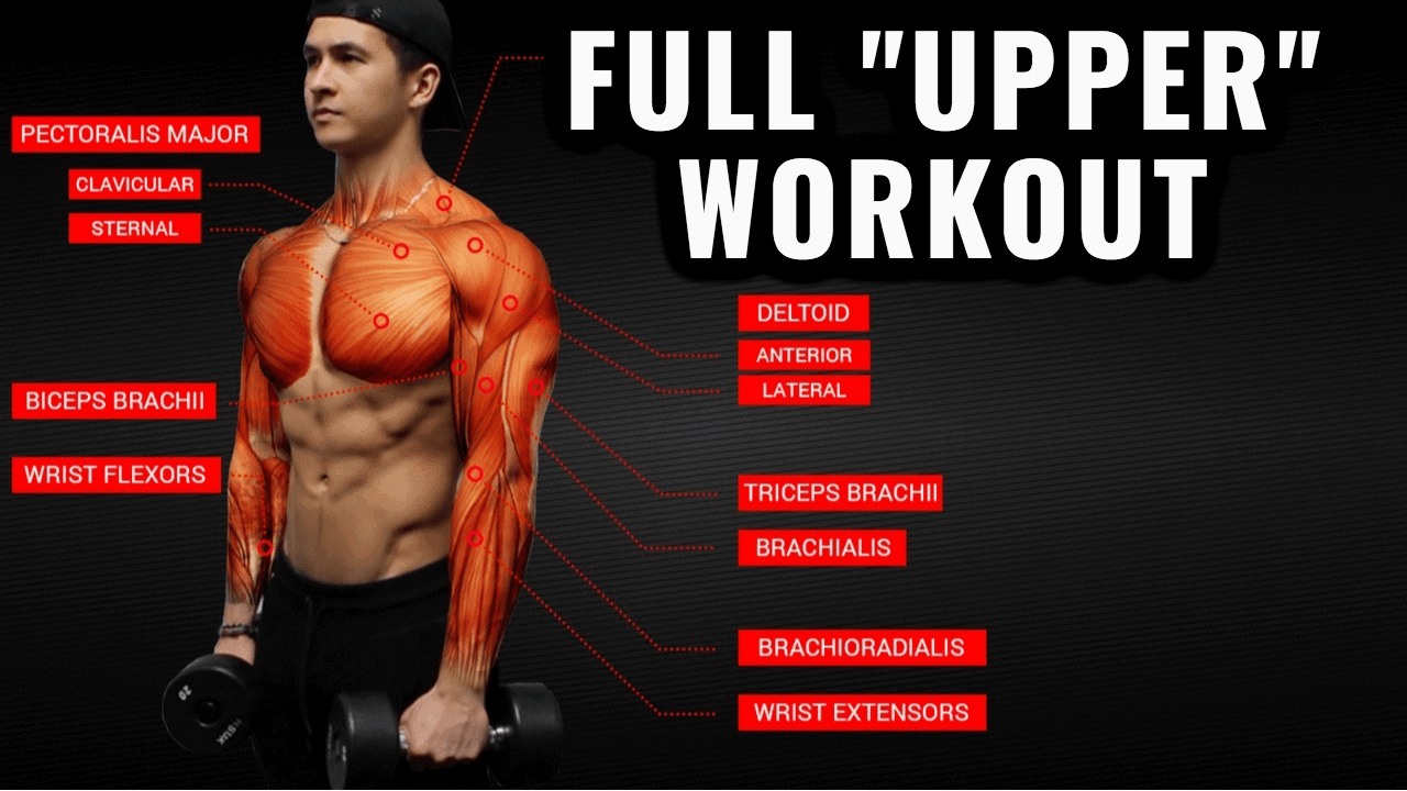 Upper Body Workout Circuit Training