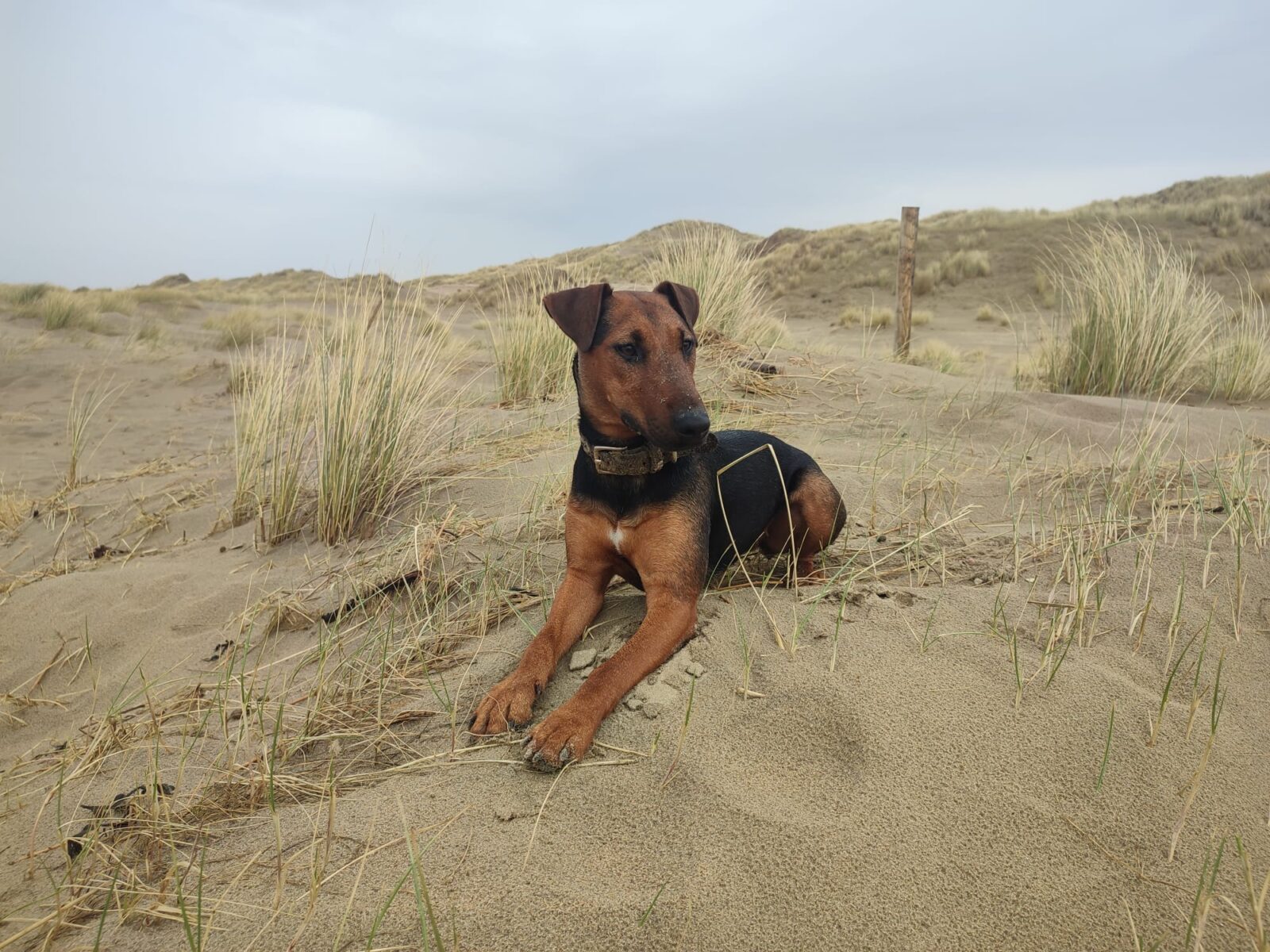 WhatsApp Image 2022-05-03 at 09.24.26