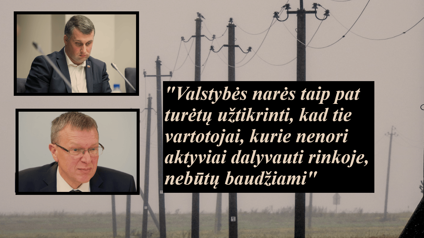 Elektros rinkos liberalizavimas: jie mus tiesiog apgavo