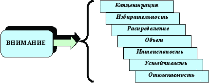 Схема внимания. Внимание познавательный процесс. Познавательные психические процессы. Внимание это психический познавательный процесс. Внимание как психический процесс картинки.