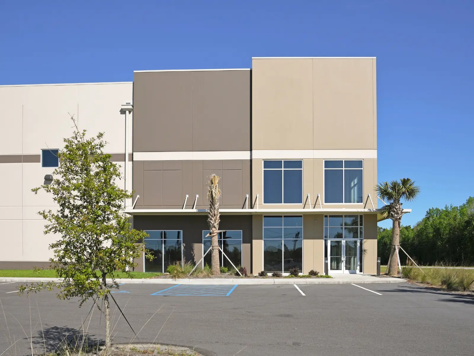 commercial-painters-wellington.jpg