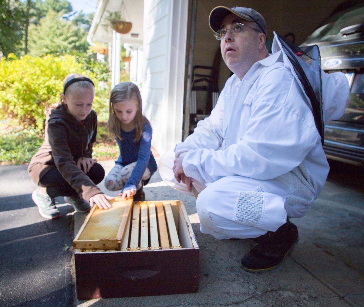 Finding the buzz Local beekeepers join call to ban the pesticides