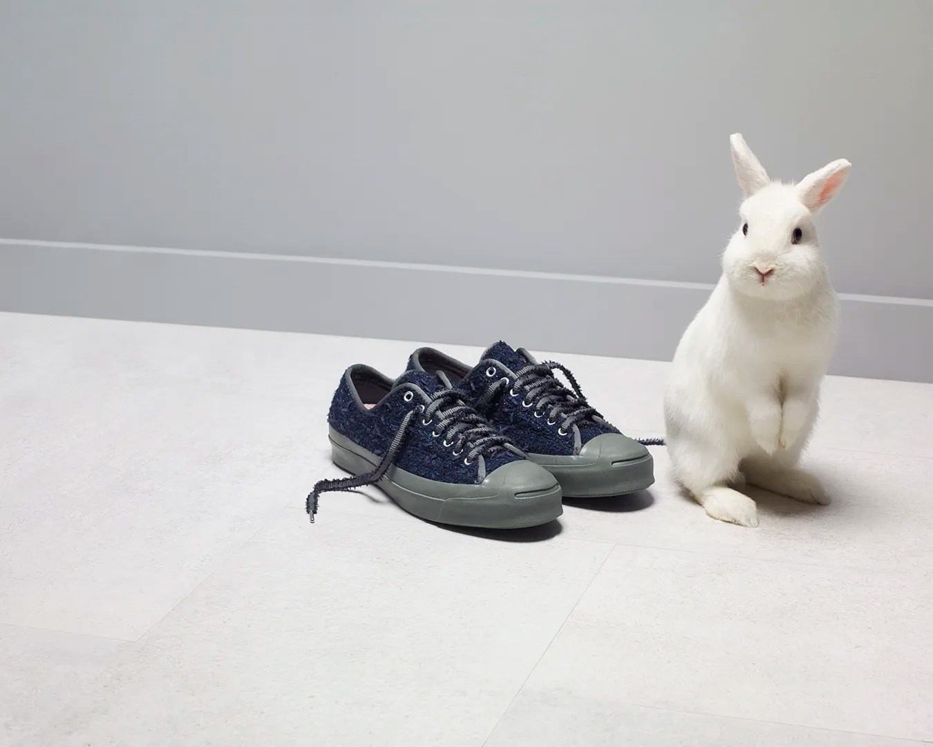 Converse Bunney - Jack Purcell × CONVERSE Purcell（ジャック BUNNEY 