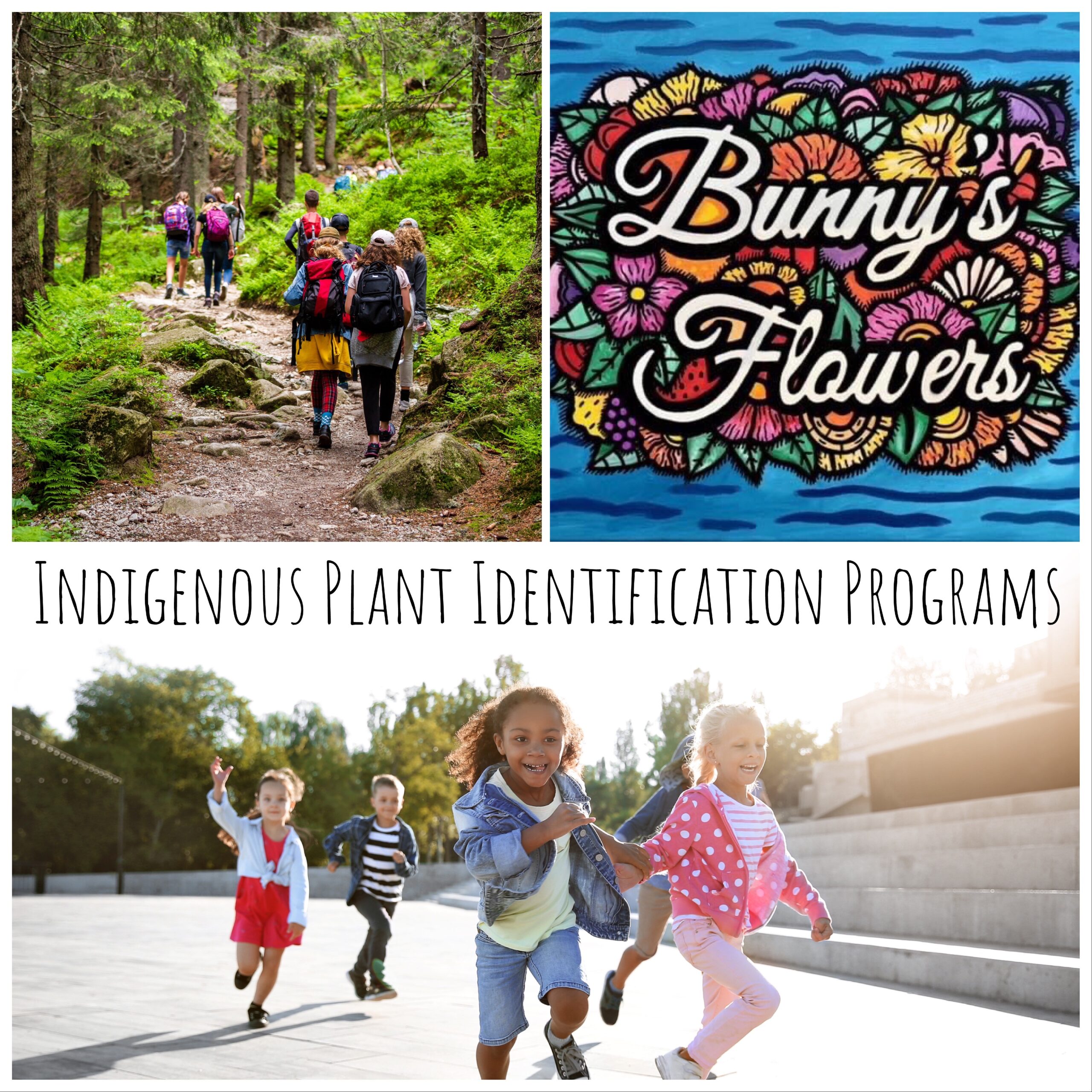Indigenous Plant Identification
