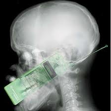 Is this what our heads look like? Is that a good thing? Can we know that - please.