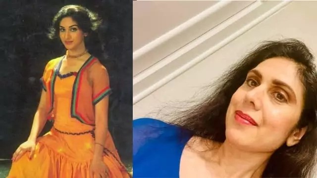 Read more about the article मीनाक्षी शेषाद्री जीवन परिचय | Meenakshi Seshadri biography in hindi