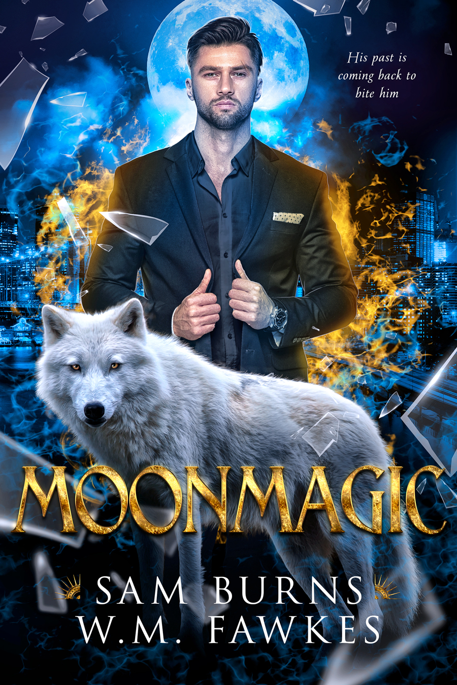 Book Cover: Moonmagic