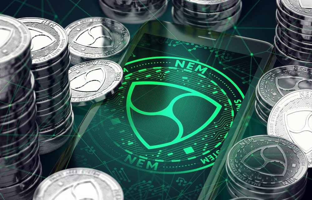 Lee más sobre el artículo BRAZO FINANCIERO DE NEM INVIERTE SUS PRIMEROS MILES DE DÓLARES