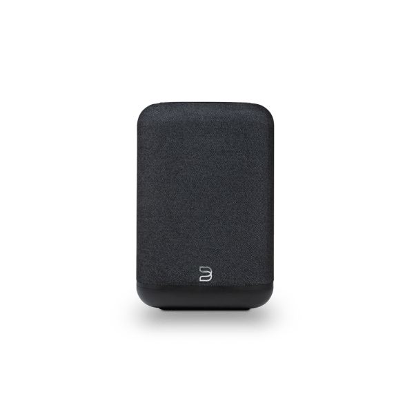Bluesound Pulse Flex (2025)