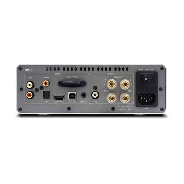 Rotel DX-5 Pannello posteriore