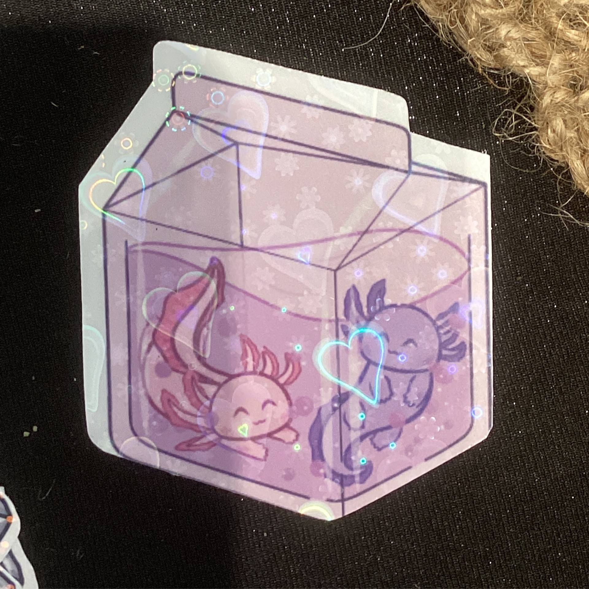 Axolotl in a milk carton