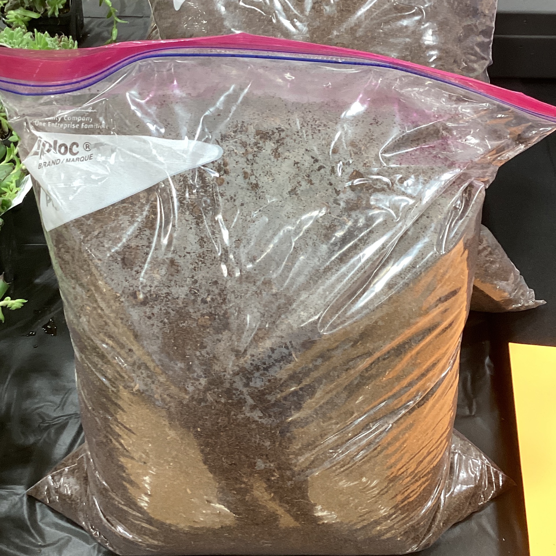 Tropical substrate