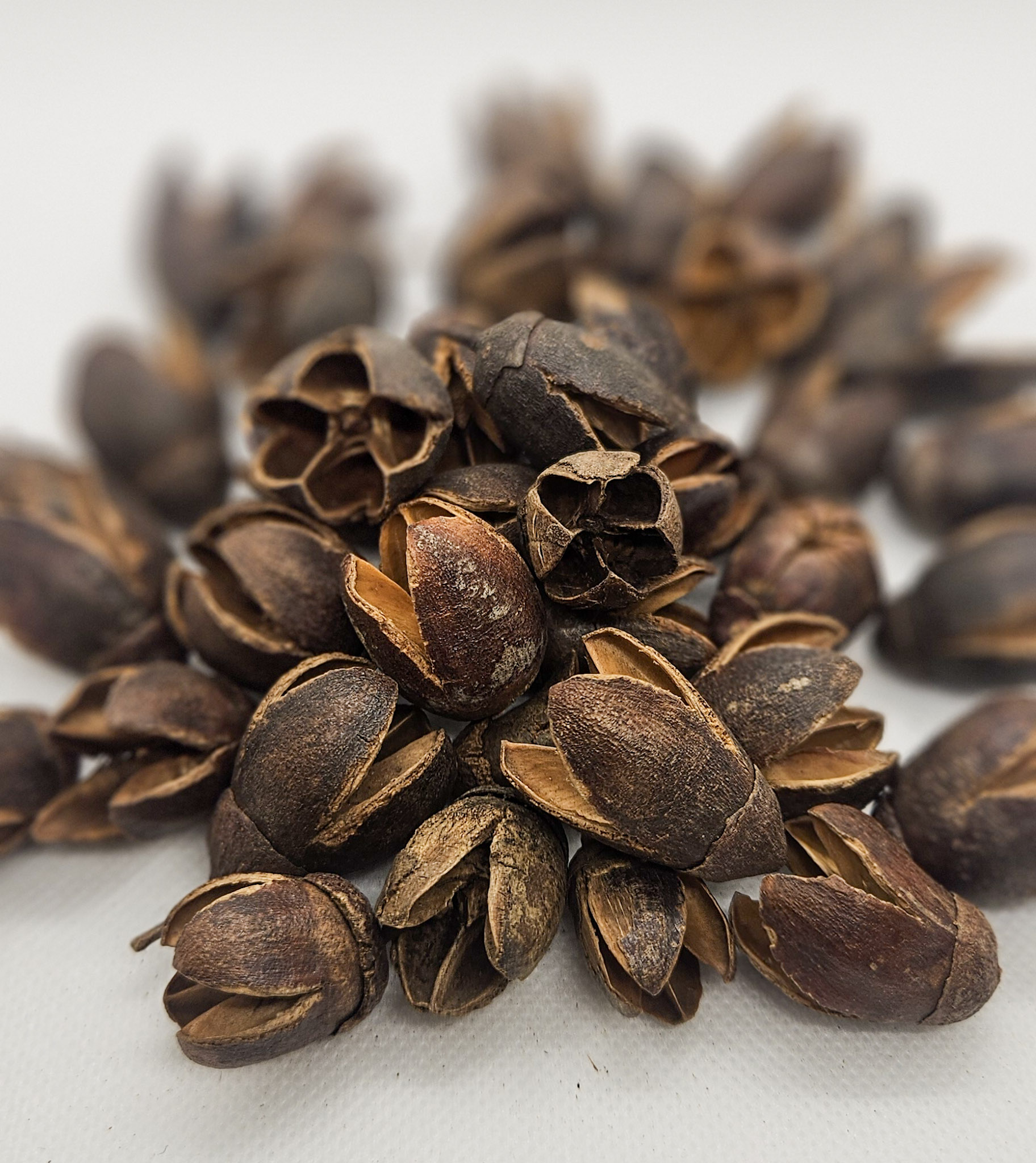 Bakuli Pods