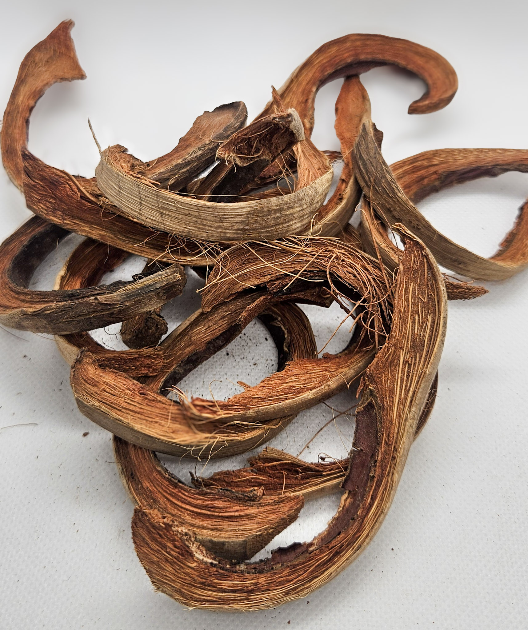 coco curls for terrarium and aquarium use