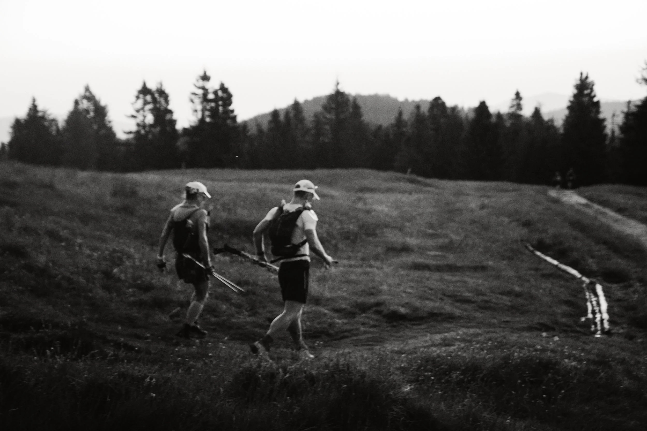 Zdjęcie dwóch osób z kijami trekkingowymi na tle górskiego krajobrazu, w czerni i bieli.