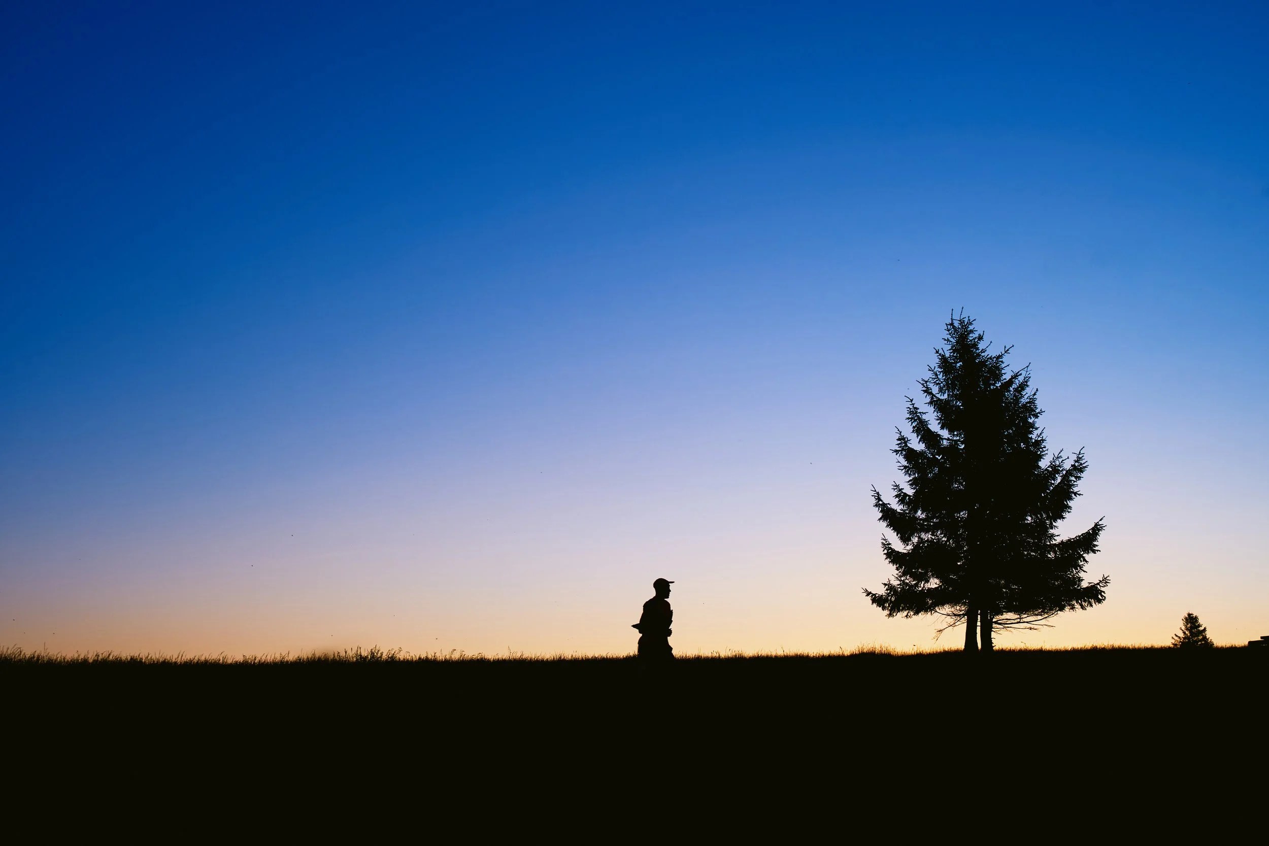 Silueta osoby spacerującej obok dużego drzewa na tle zachodzącego słońca.