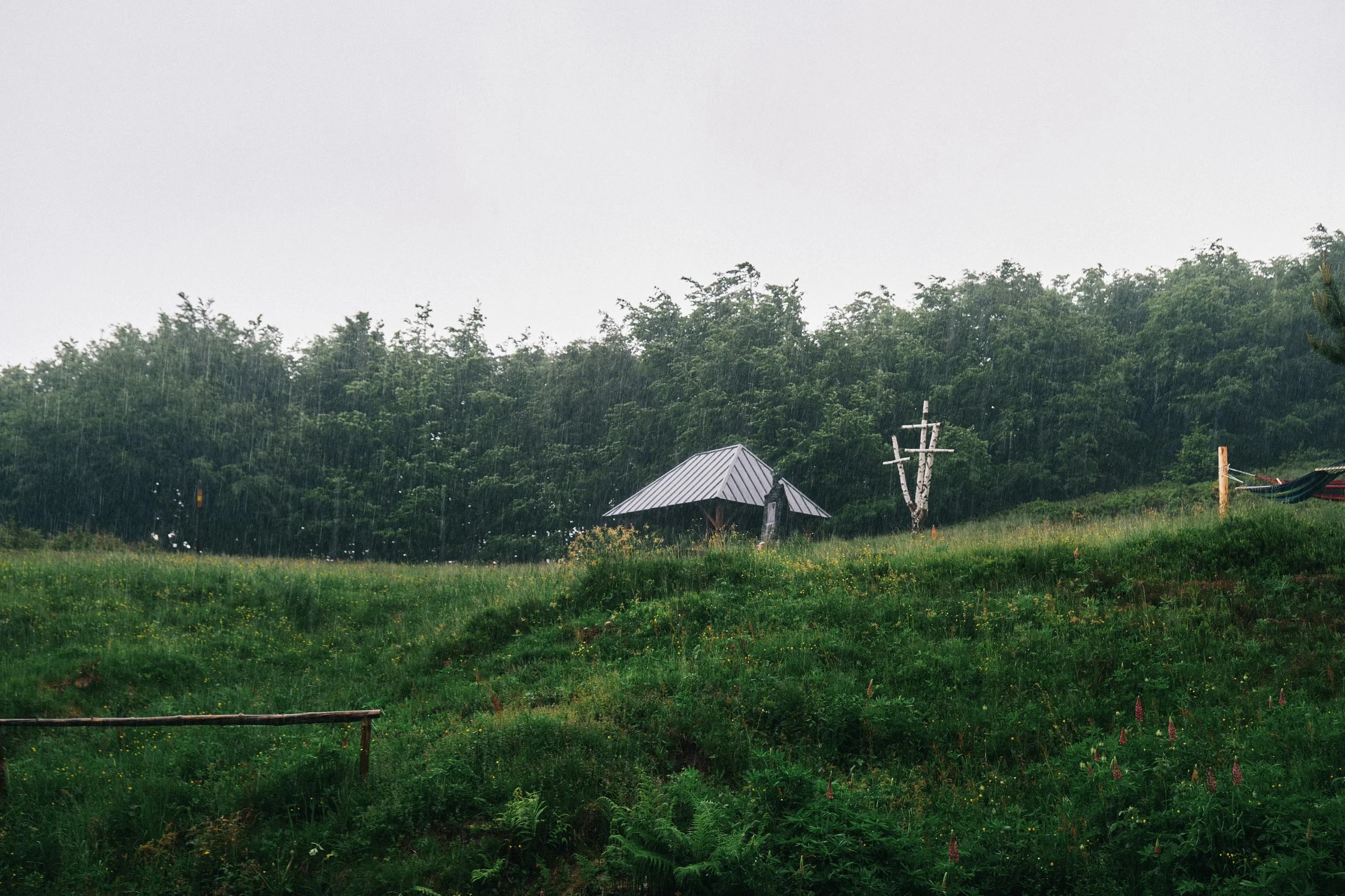 Krajobraz z domkiem, drzewami i deszczem, widok na zalesione wzgórze.