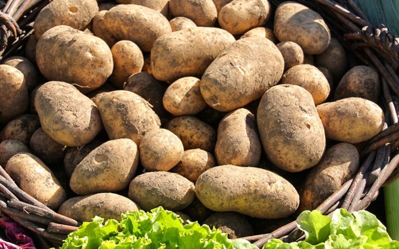 The supply crisis has not ended, the price of potatoes is still high