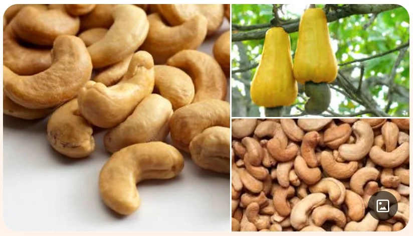 From $250m in 2022, Nigeria Targets $500m from Cashew Exports in 2023
