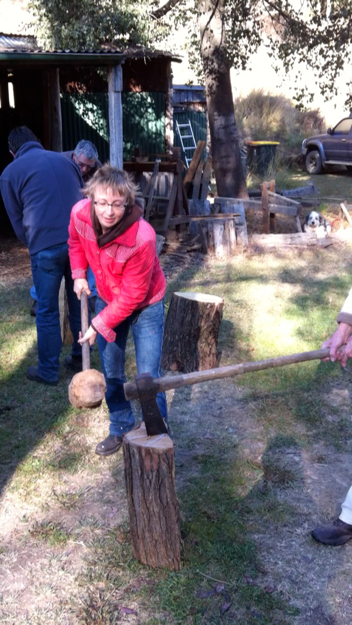 Froe log splitting