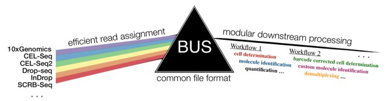 Github Bustools Getting Started - Download Premium Dark Illustration | HD